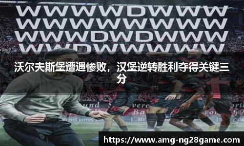沃尔夫斯堡遭遇惨败,汉堡逆转胜利夺得关键三分