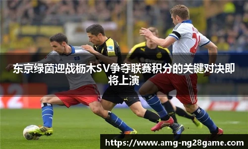 东京绿茵迎战枥木SV争夺联赛积分的关键对决即将上演