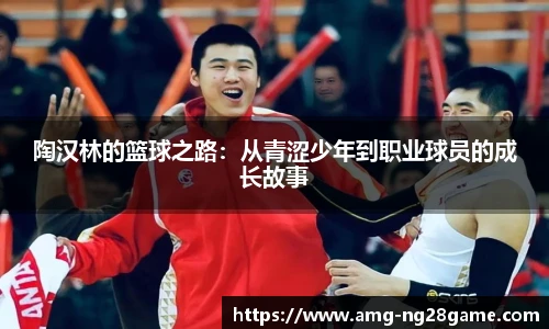 陶汉林的篮球之路:从青涩少年到职业球员的成长故事